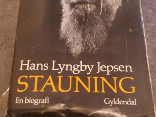 Stauning En biografi 