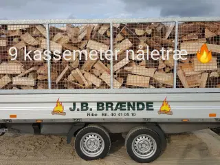  BRÆNDE LØVTRÆ-NÅLETRÆ SAVET-KLØVET OG LEVERET
