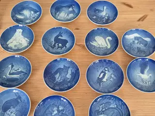 Morsdags platter
