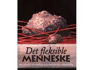 "Det fleksible menneske" af Richard Sennett