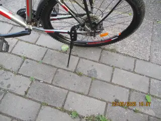 Flot let cykel