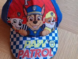 Paw Patrol kasket 