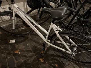 Busetto dame cykel