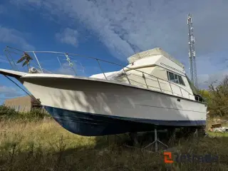 - - - Carver Voyager 3326 flybridge motor båd