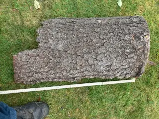 Bark til pyntedekorationer