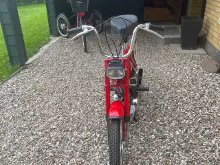 Puch  Maxi