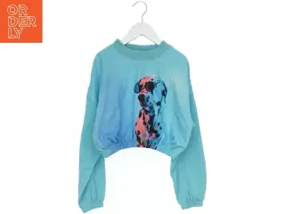 Sweatshirt med dalmatiner print fra H&M (str. 140)