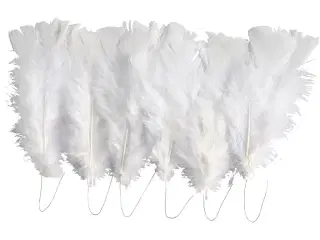 Dun, L: 11-17 cm, hvid, 18bdt./ 1 pk.