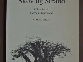 mellem skov og strand - glimt fra et hjørne af dj,