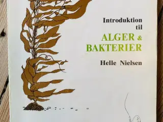Introduktion til alger og bakterier (1981)