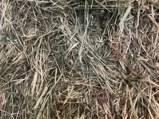 Enghø
