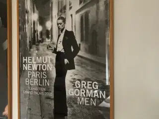 Helmut Newton plakat