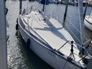 Maxi 77 fra 1979 inkl. bådstativ