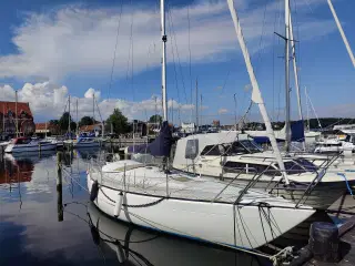 31 Fods sejlbåd til salg
