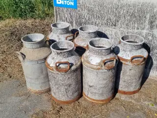 Mælkespand 6 stk.