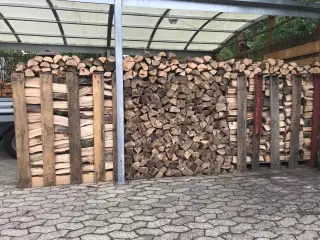 Brænde løvtræ