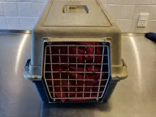 Transportkasse til hund/kat sælges.
