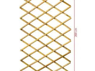 haveespalier 100 x 200 cm bambus