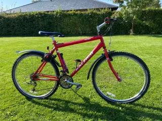 Raleigh. 26" Hjul, 52 cm. stel, 24 gear