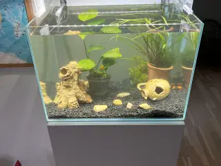 60L akvarium med møbel + pumpe 