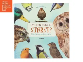 Hvilken fugl er størst? af Daniela Straß (Bog)