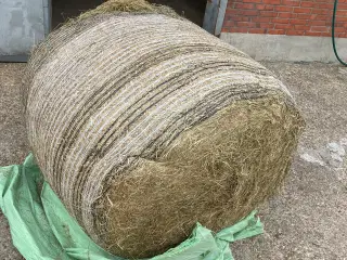 Wrap 