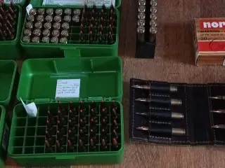 308 Win  ammunition 