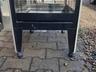 fuglebur sælges 500kr