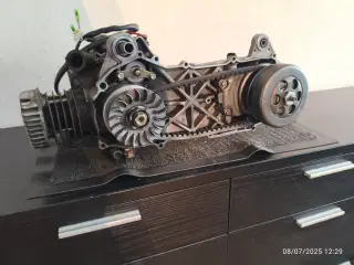 Nyrenoveret kort minarelli/Digta motor 50cc