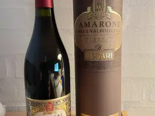 Cesari Amarone della Valpolicella Classico 1990