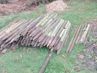 Ca. 100 stk træpæle og ca. 30 stk jernpæle.