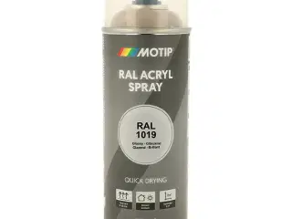 Motip Ral 1019 high gloss grey beige