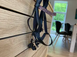 Kæp hest med tilbehør