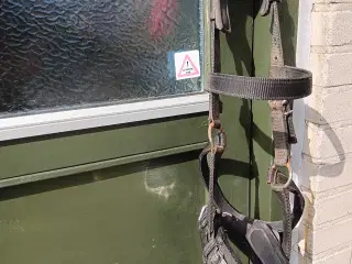 Kapsun 