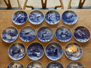 Tove Svendsen jagtplatter