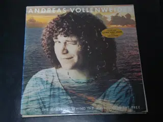 Andreas Vollenweider