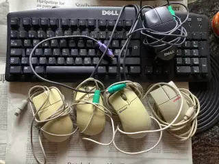 5 ældre computermus plus 1 tastatur