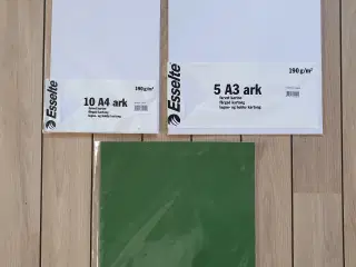 Esselte A3 og A4 ark karton 