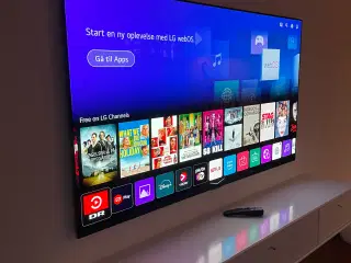 LG Gallery Design 65" OLED