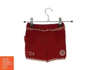 Shorts fra Manchester United