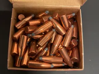 Cal. 22 Hornady projektiler 55 grains 224 SP