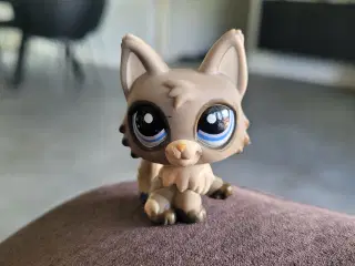 Litle pet shop kat