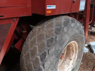 Hesston 4800