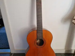 Guitar Santana