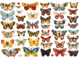 Glansbilleder, sommerfugle, ark 16,5x23,5 cm, 2ark/ 1 pk.