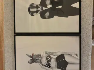 2stk billeder med dyremotiver