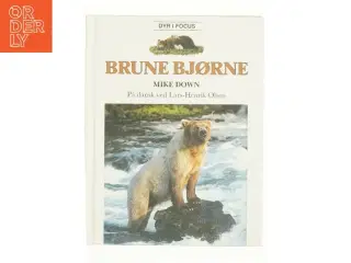 Brune bjørne af Mike Down (Bog)