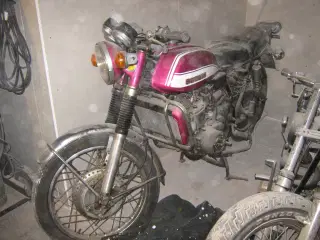 suzuki gt 750 vandbøffel