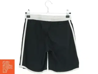Adidas shorts (str. 140 cm)