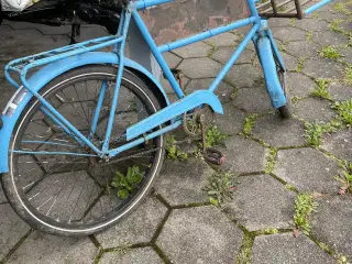 Budcykel